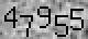 field captch